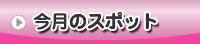 今月のスポット